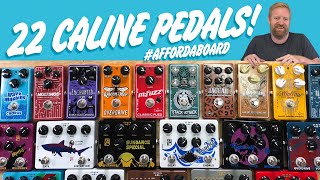 22 CALINE PEDALS  too many pedals for one video or not enough Affordaboard [upl. by Jeffrey322]