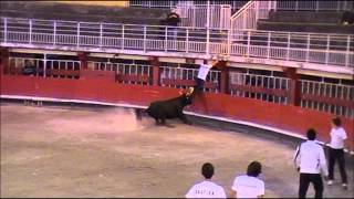 Yannick Michelier ou la passion de la Course Camarguaise [upl. by Mosi]