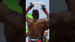 Omg flying knee knockout UFC ufc mma boxing shorts short [upl. by Corene560]