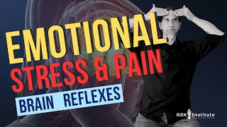 EMOTIONAL STRESS Reflexes for processing [upl. by Cozmo]