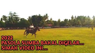 🔴PASOLA SUMBA 2022 BAKAL DIGELAR ‼️ BEGINI ORANG KODI MEMPERSIAPKAN PASOLA [upl. by Kraul]