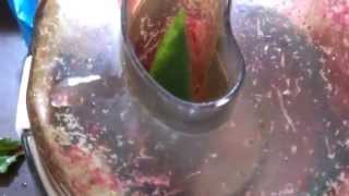 Vegan Foods Water Melon Skin amp Beet Juice Quickie [upl. by Ysnap]