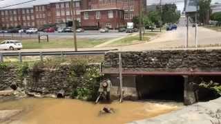 Congaree Riverkeeper on recent flooding [upl. by Joycelin]