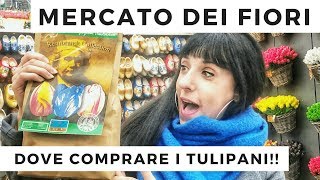 VLOG MERCATO DEI FIORI DI AMSTERDAM  Dove comprare i tulipani [upl. by Hittel651]