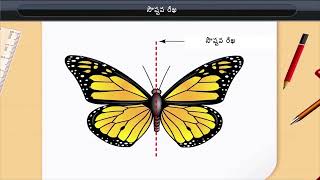 సౌష్టవ రేఖ  Line of Symmetry  Class 6  Maths [upl. by Odnala494]