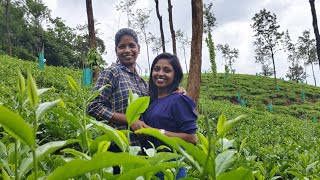 Kodamanjin aha Thazhvarayil ✨ dance wayanad honeymoon wayanadteagarden mountains friends [upl. by Gniliem]