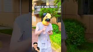 Cewek keinjak paku dog funny pets smartphone memes tiktok kitten [upl. by Moise]