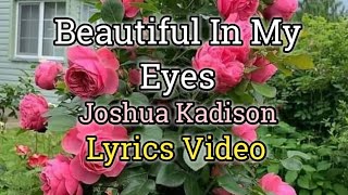 Beautiful In My Eyes Lyrics Video  Joshua Kadison [upl. by Eiralih]