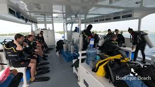 050224 Dives at Fish Bank amp Dhidhdoo Beyru near Dhigurah in South Ari Atoll Maldives [upl. by Layap]