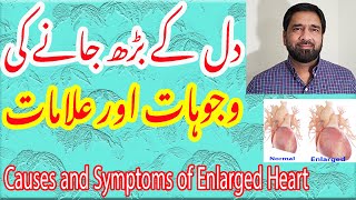 Heart Size  Signs amp Symptoms of enlarged heart  Hypertrophic Heart  Normal Heart in Urdu [upl. by Yekciv770]