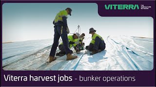 Viterra Australia harvest jobs  what is bunker operations [upl. by Eustace]