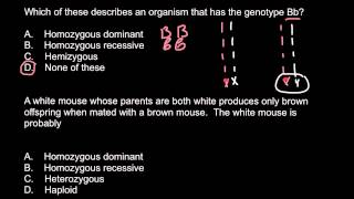 Homozygous heterozygous hemizygous haploid [upl. by Missie]