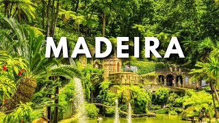 Madeira Island Ultimate Travel Guide amp Tips [upl. by Naerda]