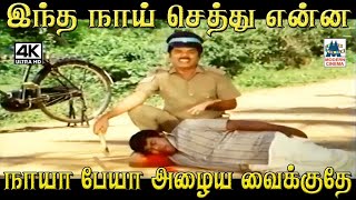 இந்த நாய் செத்து என்ன நாயா பேயா அழைய வைக்குதே S S ChandranSenthil Kumbakarai Thangaiah Comedy [upl. by Irme]