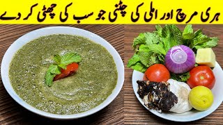 Chutney For BBQ Snacks Mandi Rice  Urdu Hindi [upl. by Stark]