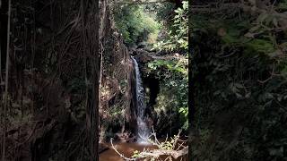 Apsarakonda Waterfalls ⛲️waterfall apsara karnataka travel trending viral shorts ytshorts [upl. by Najram443]