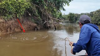 SAMBARAN GANAS IKAN PENGHUNI SUNGAI LAMANDAU [upl. by Ailes]