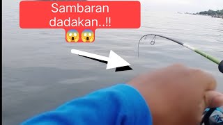 MANCING KERAMBA ARAR MUTUN  PLUNGNYOOT ‼️ [upl. by Middendorf]