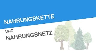 NAHRUNGSKETTE UND NAHRUNGSNETZ  Biologie  Ökologie [upl. by Ciri]