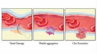 Introduction to Microsurgery Part 1 [upl. by Siuoleoj]