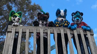 North Alphington Fur Meet  Furry Meet Vlog [upl. by Furr497]