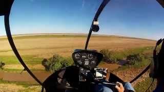 Aerial Stock Mustering [upl. by Ayr]