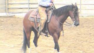 Cutting Sorting Ranch Horse For Sale  Cutting Horse Reining Horse Cow Horse [upl. by Trant]