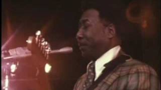 Mannish Boy  Muddy Waters Live 1971 [upl. by Seys]