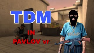 TDM in Pavlov vr [upl. by Nauj]