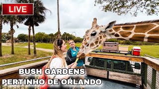 AO VIVO EM ORLANDO BUSCH GARDENS EM TAMPA [upl. by Eivi984]