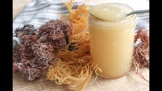 Whats Sea Moss And its Uses [upl. by Torray]