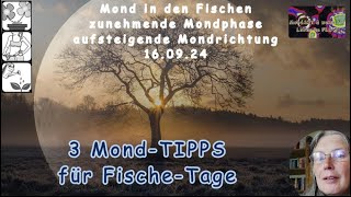 3 MondTIPPs für Fische Tage [upl. by Arbua]