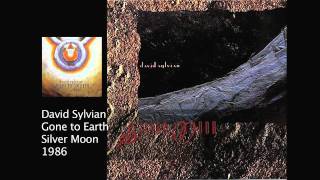 Discography Japan  David Sylvian [upl. by Tatia]