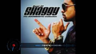 Shaggy  It Wasnt Me DJ Markkinhos Extended Version [upl. by Aianat141]