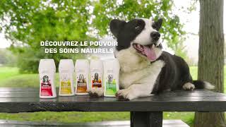 shampoo Universel Oropharma pour chiens meilleur du test Testachat [upl. by Blackington134]