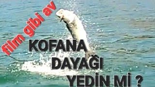 FILM GİBİ AV 9Bölüm ÜÇÜ BİR ARADA [upl. by O'Carroll371]