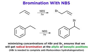 AllylicBenzylic Bromination With NBromo Succinimide NBS [upl. by Crofton]