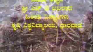 Method of composting sugarcane residue Kannada BAIF Karnataka [upl. by Scandura222]