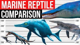 Biggest Marine Reptile  Size Comparison [upl. by Edouard81]