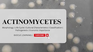 Actinomycetes [upl. by Ender]