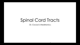 Spinal Cord Tracts DCS [upl. by Englebert]