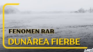 Ep 12 Fenomen rar  Dunărea ”fierbe”  Natura atinsă de iarnă  Danube is ”boiling” [upl. by Prussian]