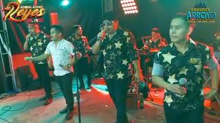 Mix Roy y los gentiles 🎸 Agrupación Los Reyes Del Perú 🇵🇪 🎤 [upl. by Hirst]