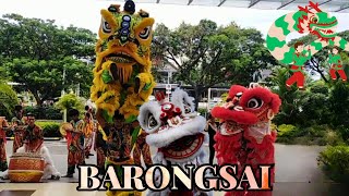 Barongsai around the mall dan liong dance  Barongsai 2024 [upl. by Shanie]