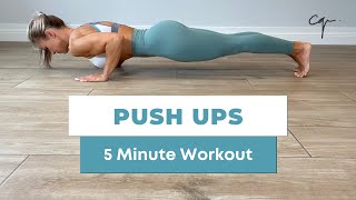 5 Minute Push Ups Workout at Home [upl. by Gustav235]