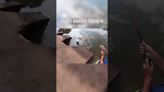 There was a swamp puppy hiding up in here youtuber fishing ponds fish blackops1 d [upl. by Sidalg]