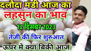 दलौदा मंडी आज का लहसुन का भाव 12 दिसंबर 2023 garlic rate today aaj ka lahsun ka bhav [upl. by Margi]