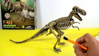 Fantastic Faux Fossils  Lesson Plan [upl. by Nylorac409]