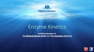 Enzyme Kinetics [upl. by Iznyl]