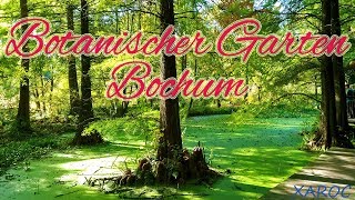 Kurzurlaub in Bochum  Tag 3  Botanischer Garten 🏘 VLog deutsch german HD [upl. by Ahtanamas20]